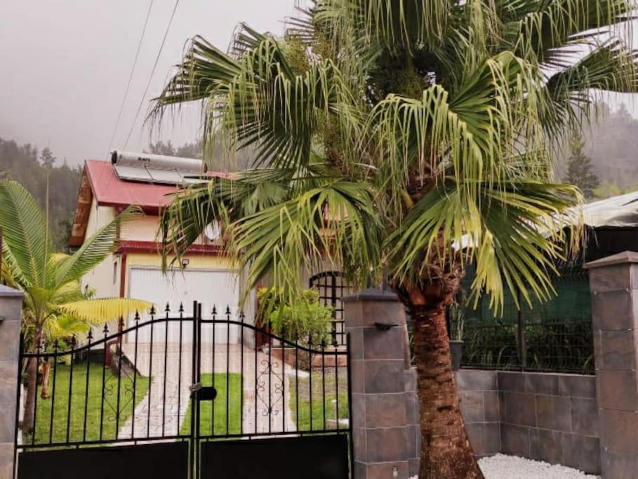 Charmante Maison Au Coeur Des 3 Montagnes Salazie Exteriér fotografie